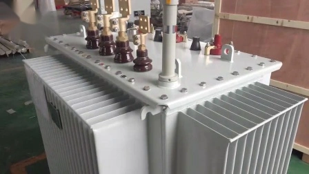 Transformador de distribución de transformador de potencia sumergido en aceite de 11kv 33kv